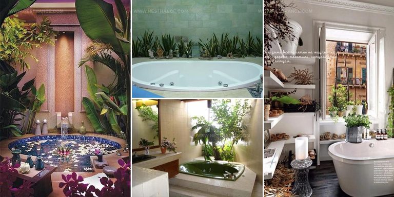 6255756 Plant Decorated Bathroom Ideas