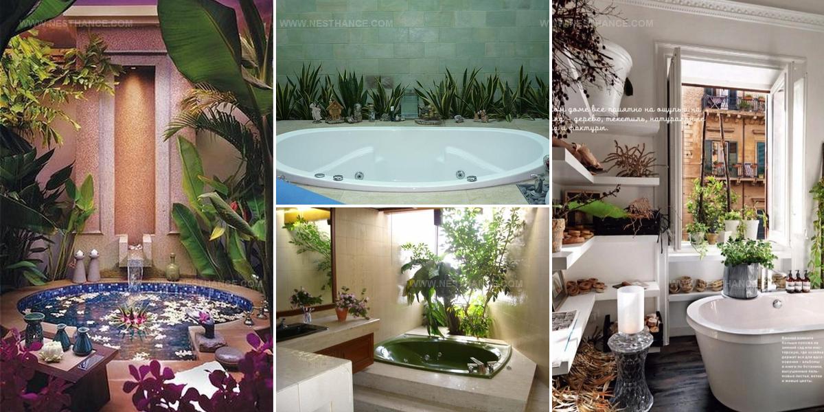 6255756 Plant Decorated Bathroom Ideas