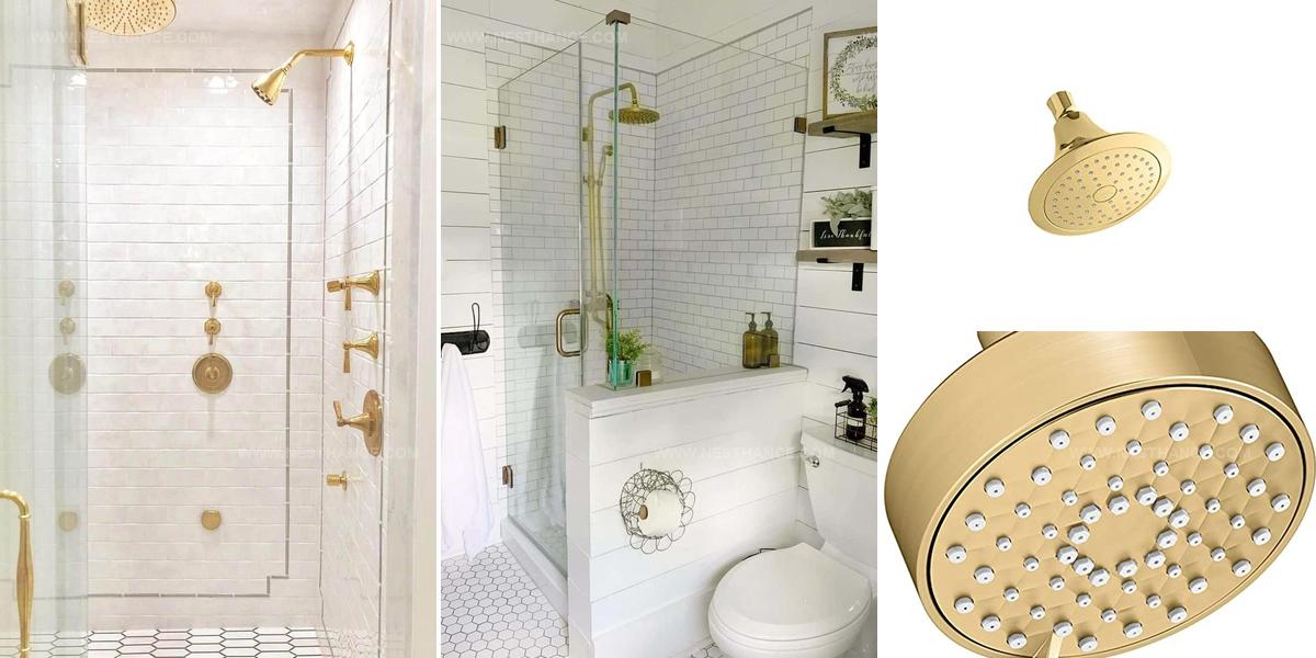 1269244 Brass Shower Head Ideas
