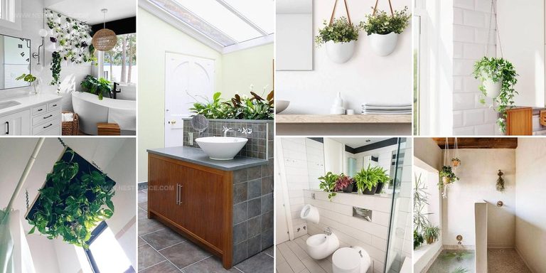 5006007 DIY Bathroom Planter Ideas