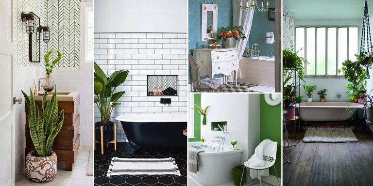 2553578 Bathroom Greenery And Flower Decor Ideas