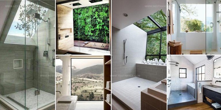 8409376 Scenic Shower Ideas