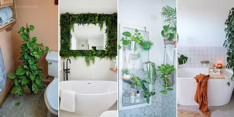 7237485 Plant Bathroom Picture Ideas