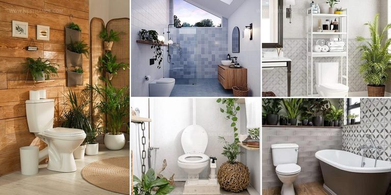 2547397 Plants Around Toilet Seat Ideas