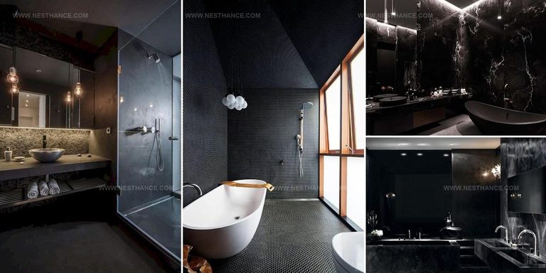 3920783 Refined Black Bathroom Ideas