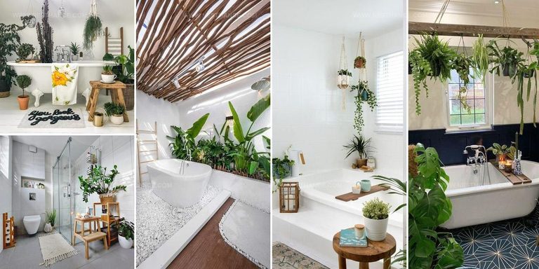 7359514 Indoor Garden Bathroom Pictures
