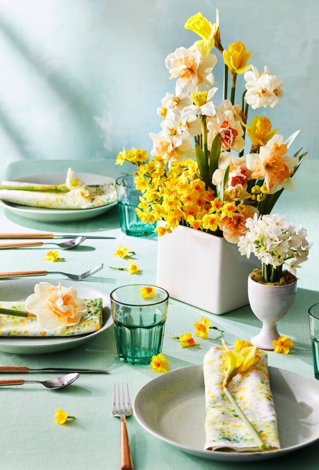 Lively Daffodil Bouquet for Spring Celebrations