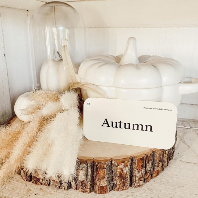 Minimalist Autumn Shelf Styling