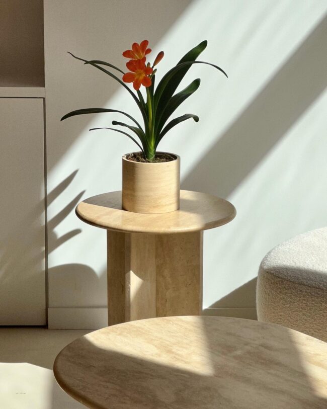 Sleek Marble Plant Stand