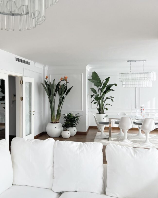 Pure White Modern Living Room