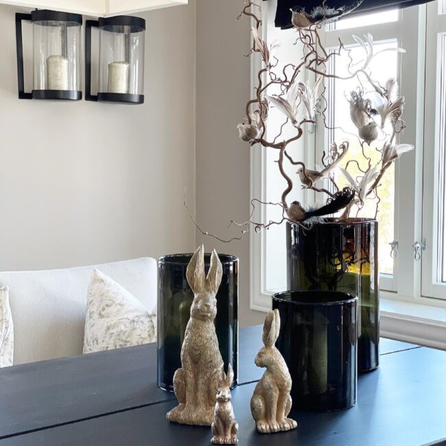 Radiant Bunny Showcase Featuring Natural Feathers