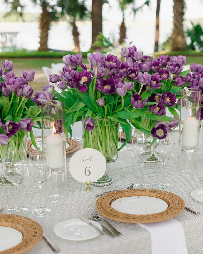 Lavender Tulip Festival Delight