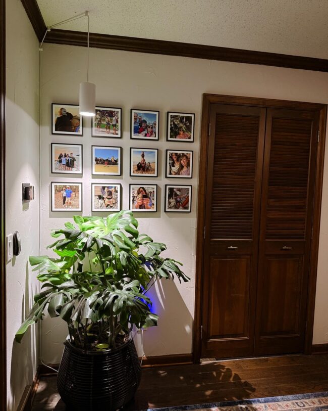 Family Wall with Accent Lighting