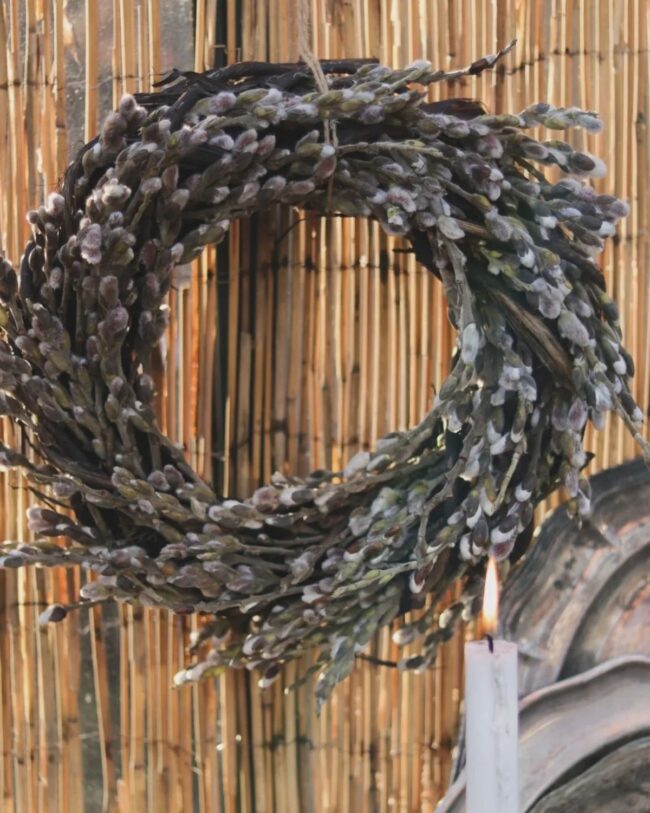 Charming Pussy Willow Decorative Arrangement