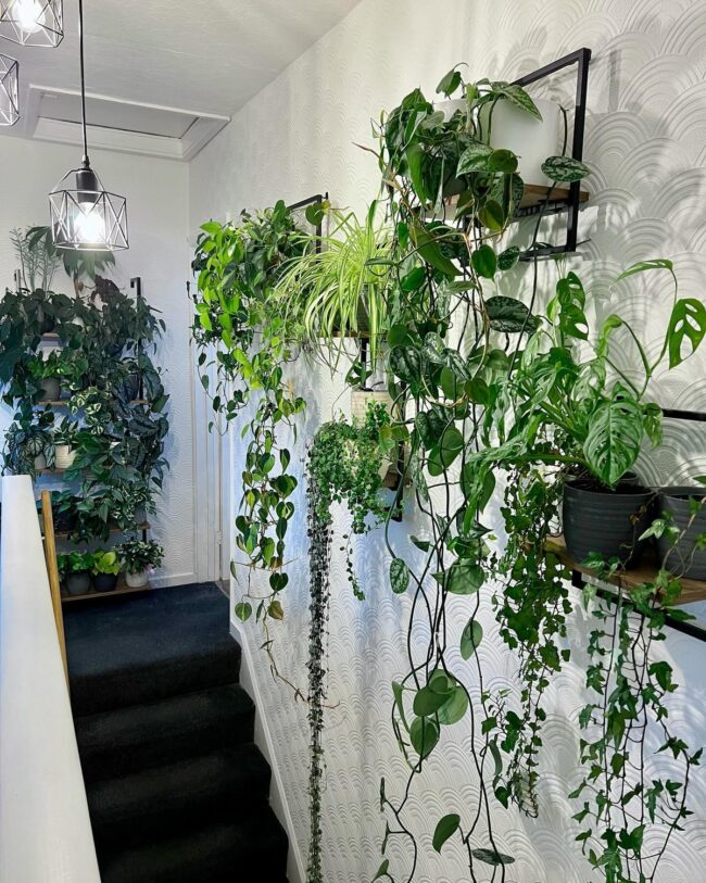 Stairway Indoor Jungle
