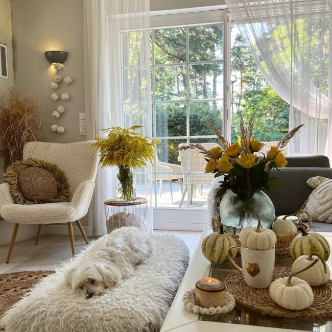 Cozy and Bright Fall Living Room Setup