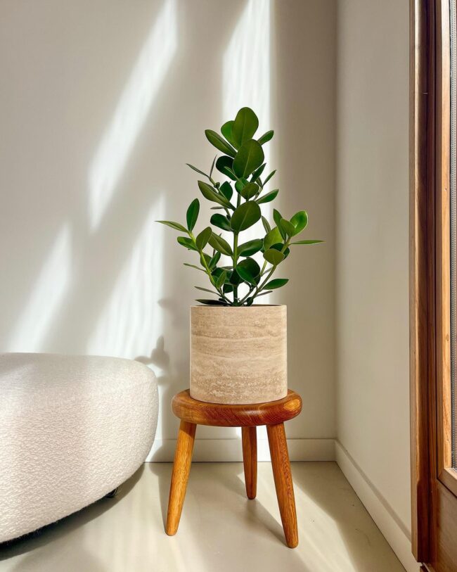 Minimalist Marble Plant Pot Design