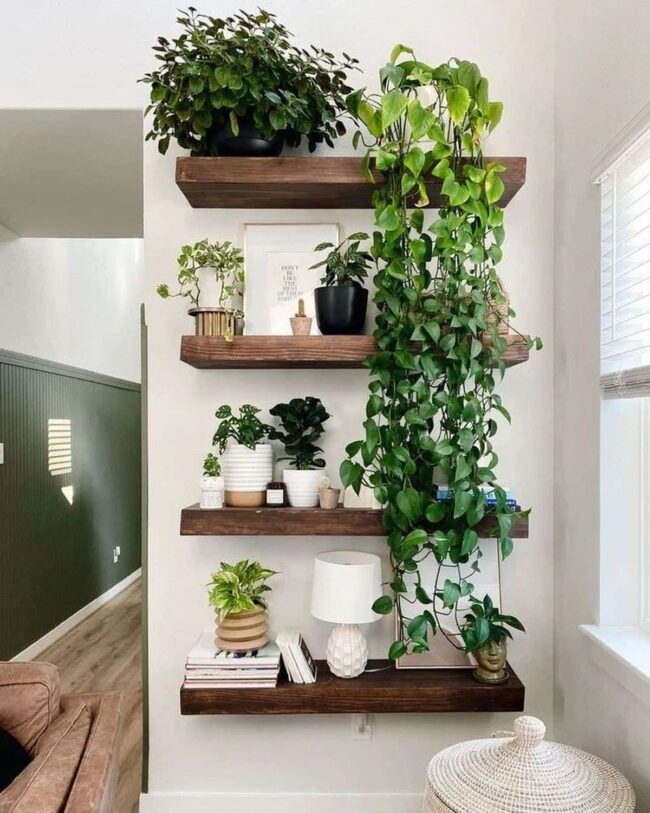 Floating Plant Shelf Display