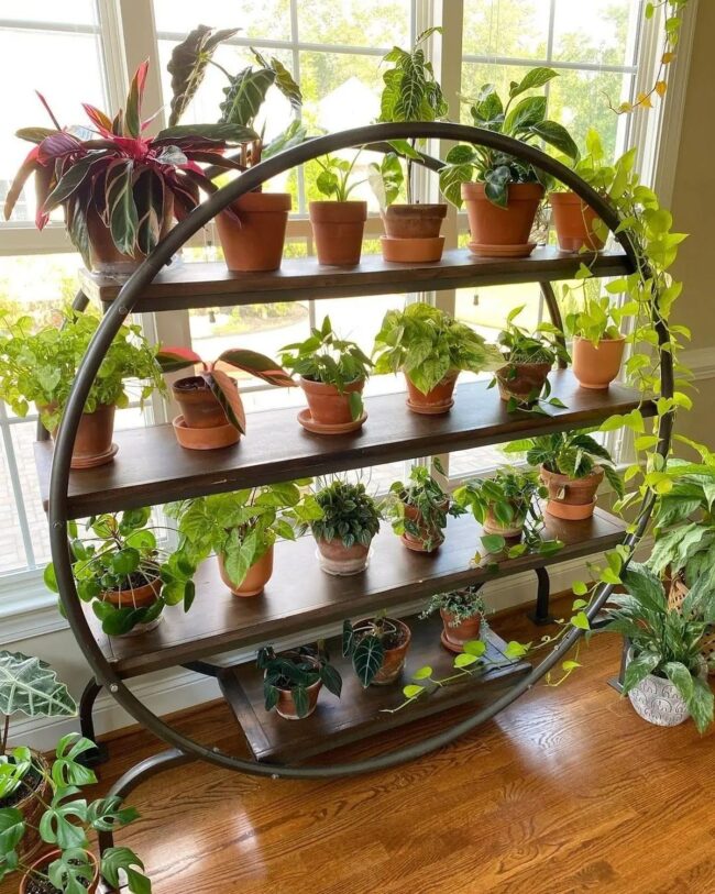 Circular Plant Shelf Design