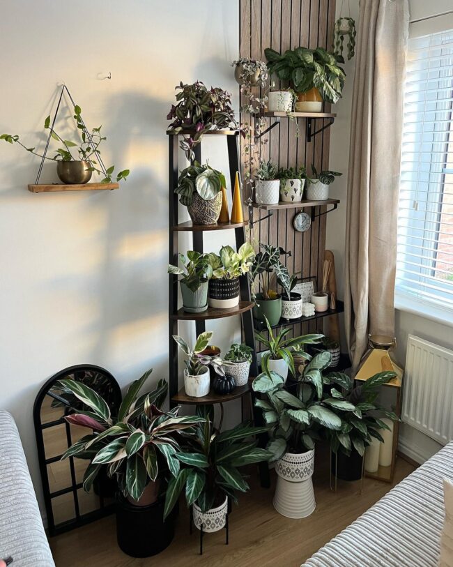Sleek Modern Plant Stand