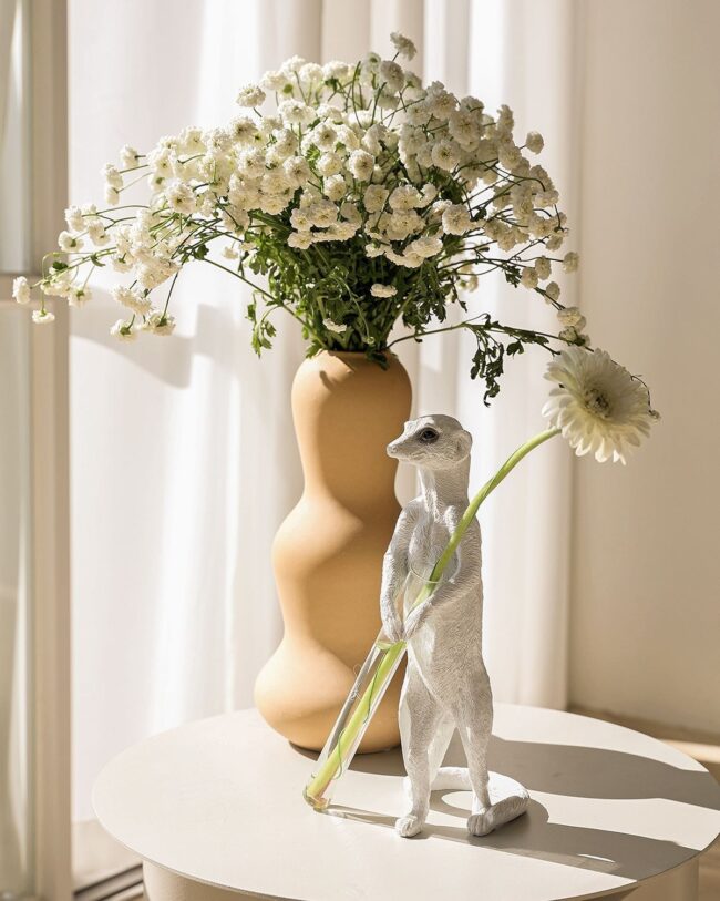 Quirky and Fun Display Ideas