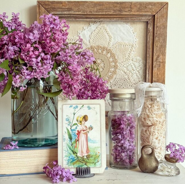Lilac and Lace Timeless Showcase