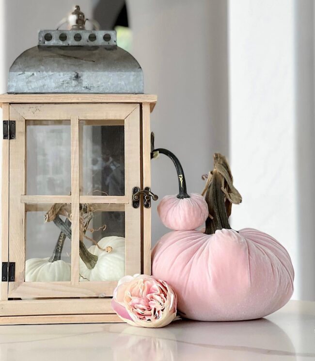 Lantern and Pumpkin Pairing