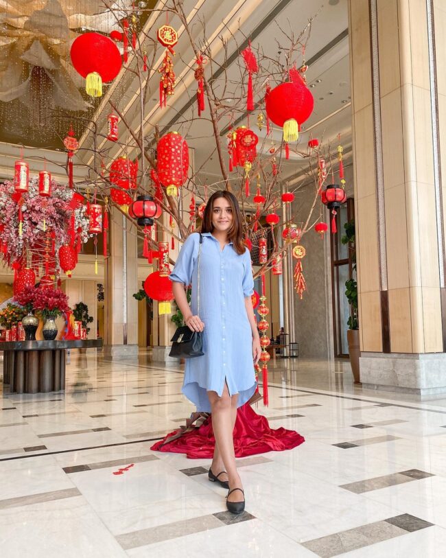 Festive Red Lanterns and Branch Arrangements