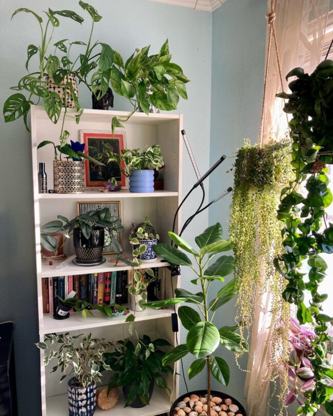 Cozy Plant Shelf Nook