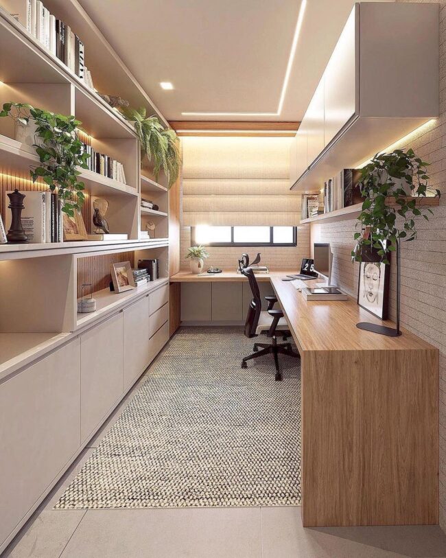 Spacious, Sleek, and Sun-Drenched