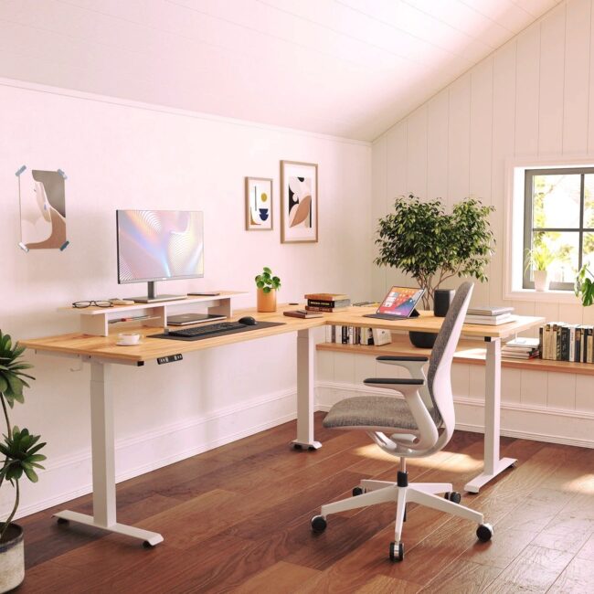 Minimalist Professional Space