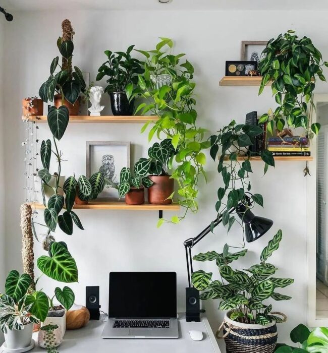 Lush Green Home Office