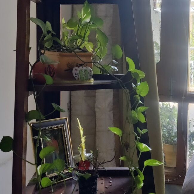 Comfortable Reading Space