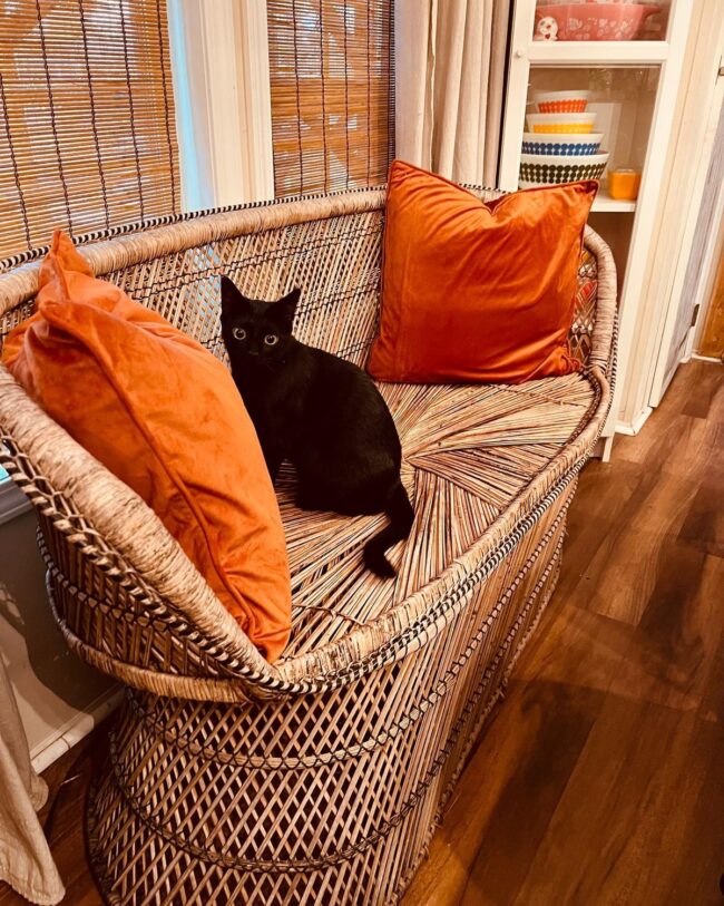 A Cozy Companion for Every Room